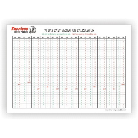 Guinea Pig Gestation Chart